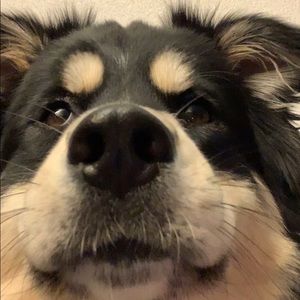 Meet your Posher, Alivia